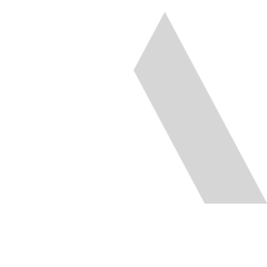 Lead Developer